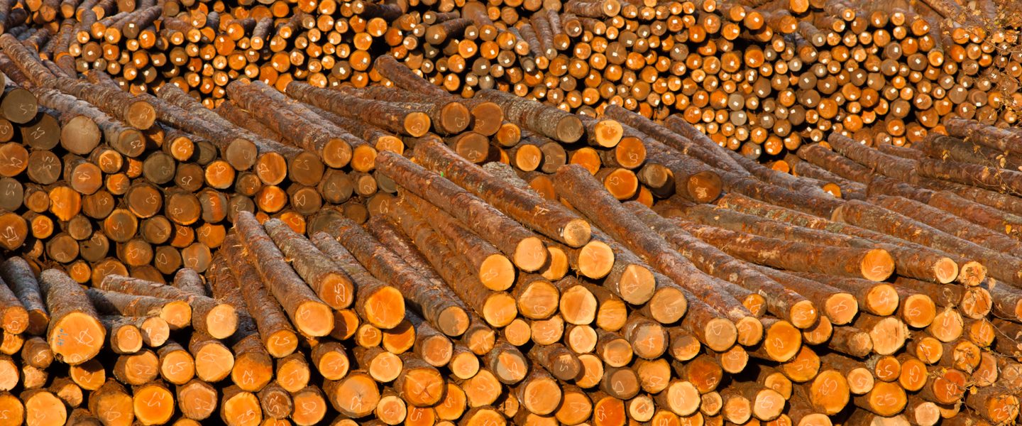 Lumber price forecast 2023