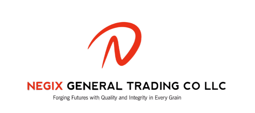 NEGIX GENERAL TRADING CO LLC