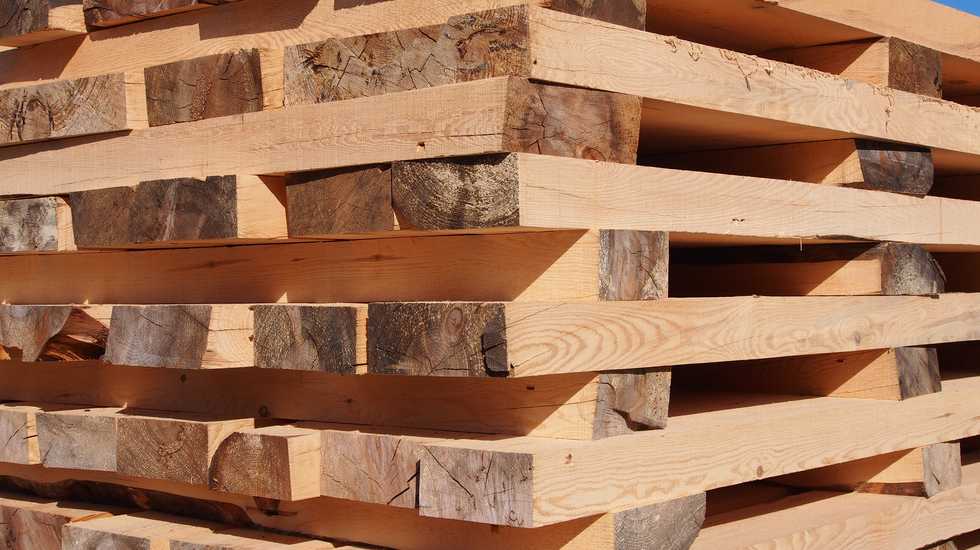Lumber price forecast 2023