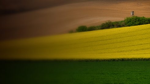 Field, Grassland, Nature