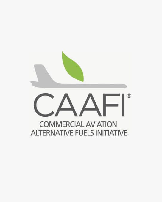 Logo, Leaf, Plant