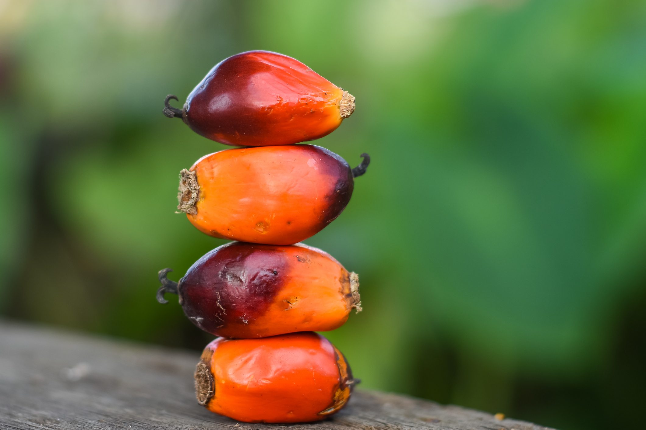 Malaysia's palm oil exports fall in first half of April, weighed by lower shipments to the Middle East: cargo surveyor