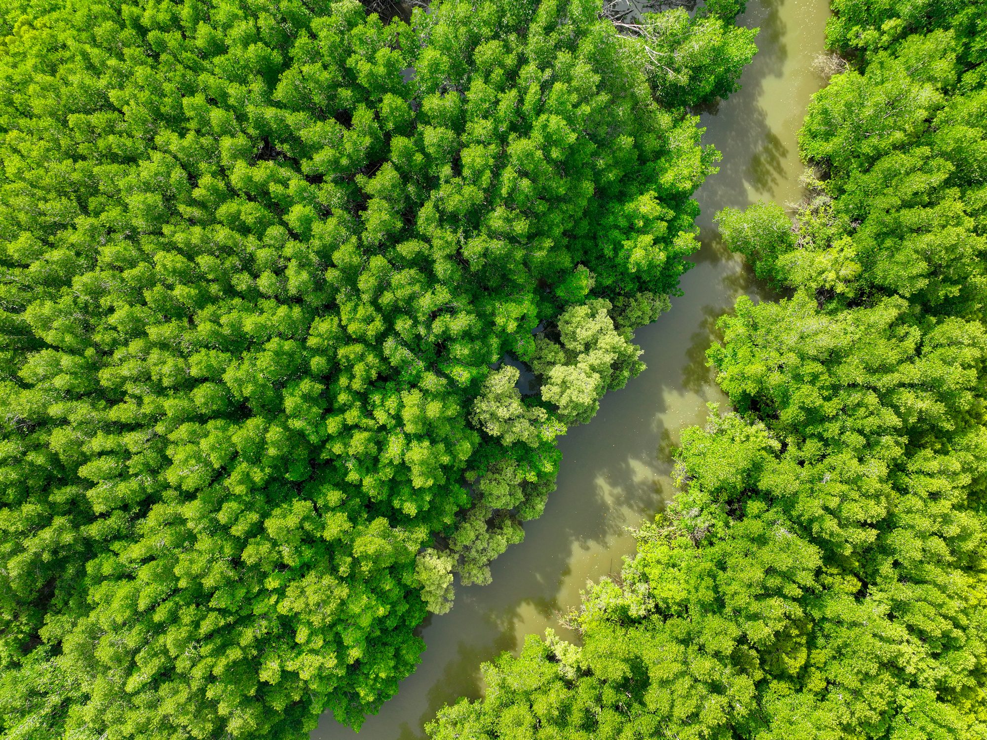 Land, Nature, Outdoors