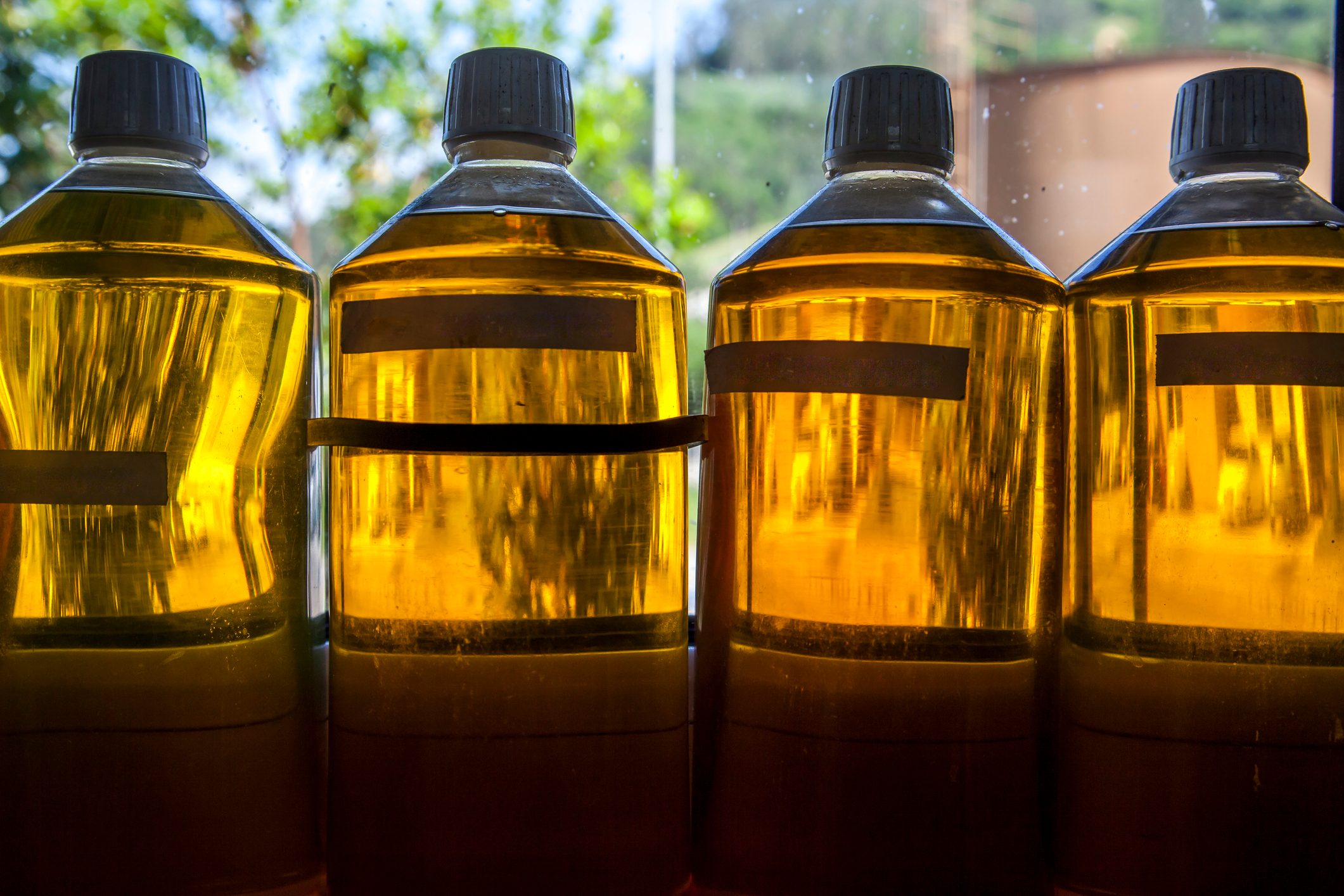 Gulf fats trade is mixed and Brazilian tallow prices at all time high