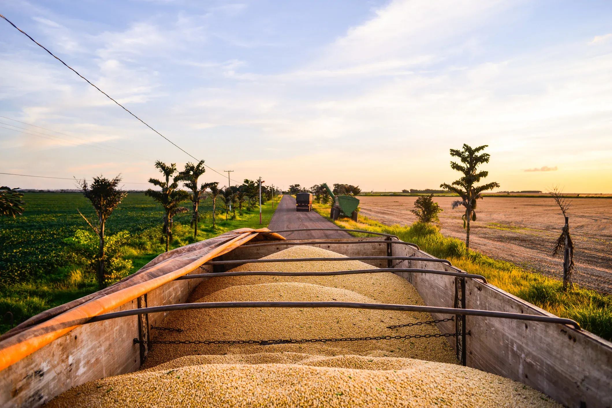 US soyoil commands record premium to South America; regional spreads narrow amid CME sell-off