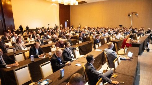 People, Person, Crowd