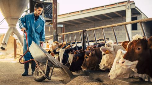 Person, Machine, Wheel