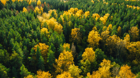 Land, Nature, Outdoors