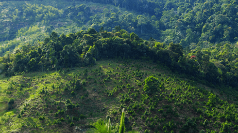 Land, Nature, Outdoors