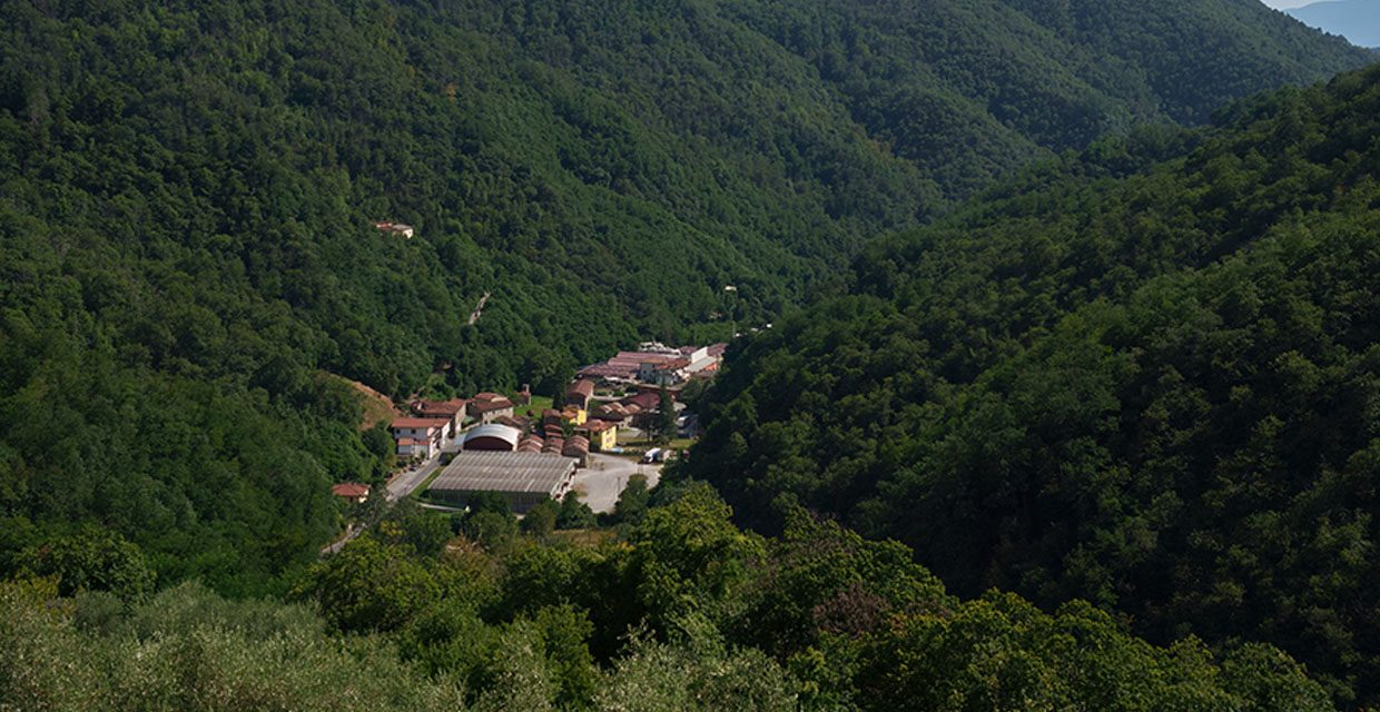 Italy’s pulp & paper sector threatened by energy costs