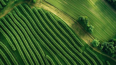 Carbon credit demand plateaued in 2025 as buyers prioritized quality, compliance and carbon credit retirements.