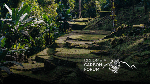 Colombia carbon credit prices pressured by REDD+ oversupply Carbon Forum