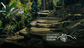 Colombia carbon credit prices pressured by REDD+ oversupply Carbon Forum