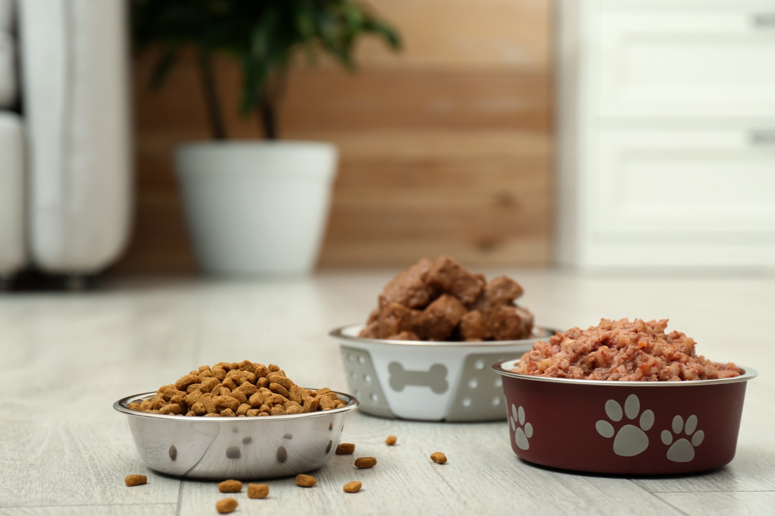 Key takeaways from the EFPRA congress: European animal by-products volumes up 7% y-o-y and local consumption increases