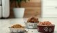 Bowl, Cereal Bowl, Food