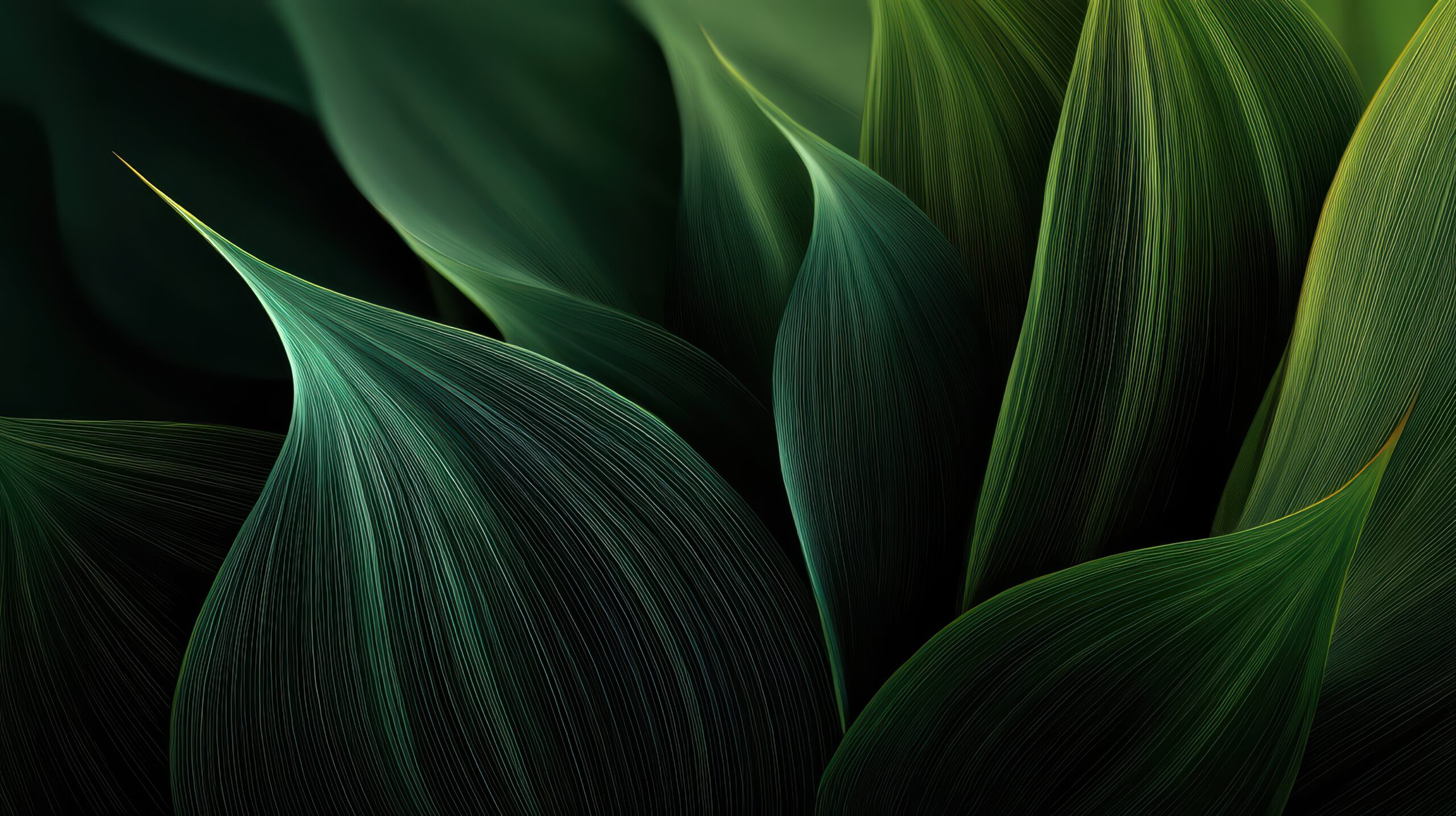 Green, Leaf, Plant