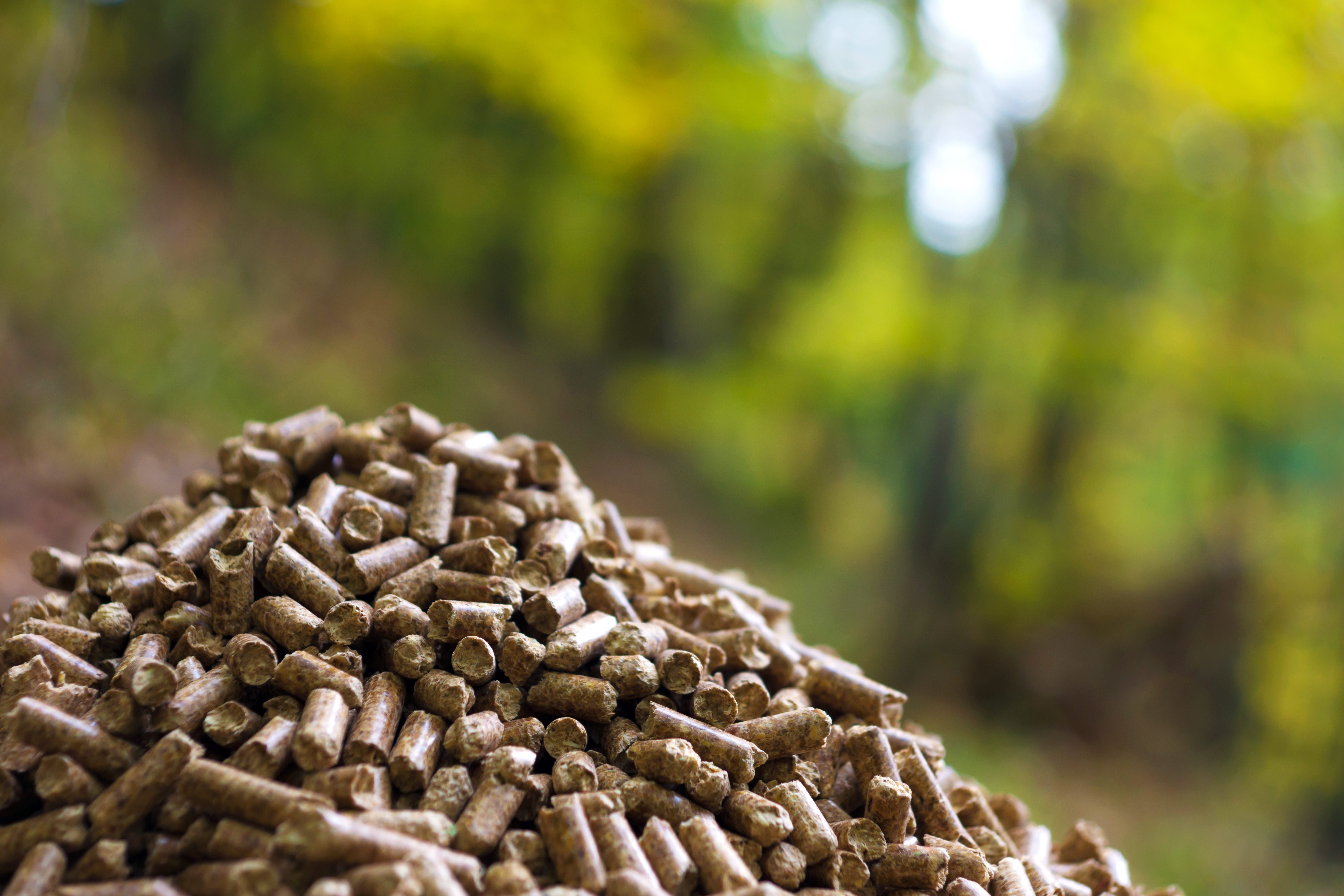 A stack of biomass energy pellets