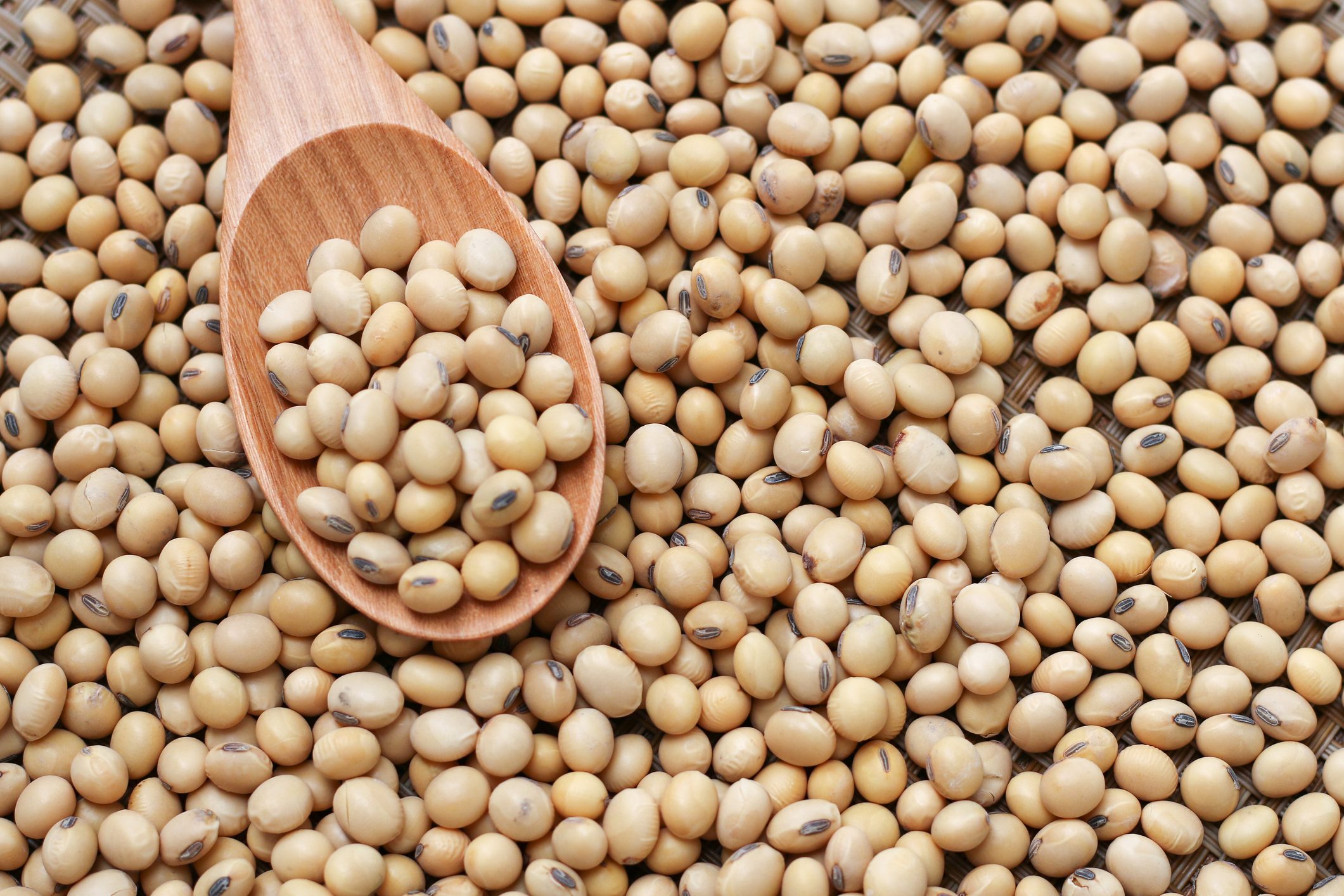 Soybean outlook: South American soybeans poised to reap rewards of Trump’s tariff war