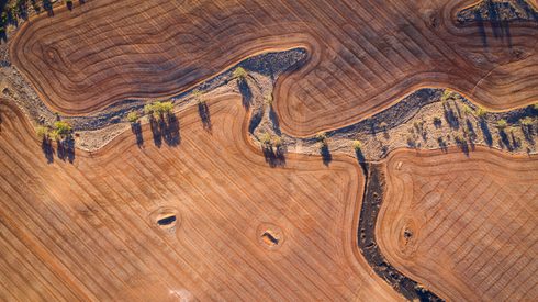 Aerial view of wheat fields